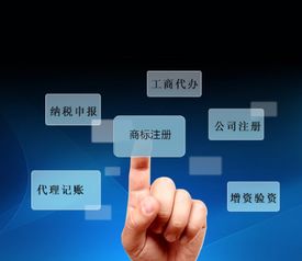 富海360網(wǎng)絡(luò)營(yíng)銷(xiāo)全案 科技推廣與應(yīng)用服務(wù)的數(shù)字化增長(zhǎng)引擎
